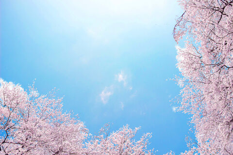 AdobeStock_263165742.jpeg