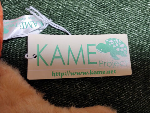 kame2.jpg