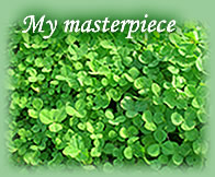 Clover
